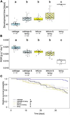 Development of a polyphagous leaf beetle on different host plant species and its detoxification of glucosinolates